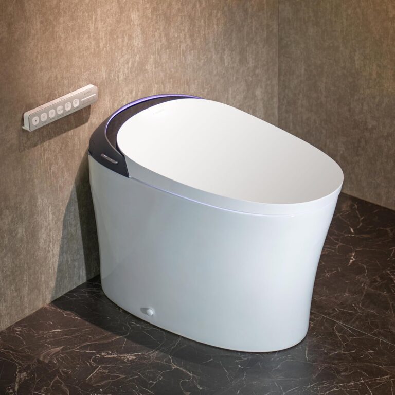 CANEST Smart Toilet Review: Honest Pros & Cons 44 Image 1 of CANEST smart toilet review