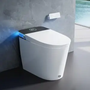 Image 1 of HOROW smart toilet review
